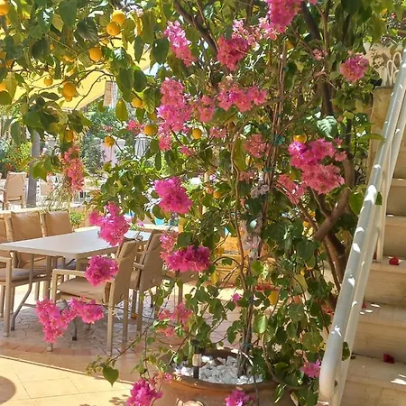 Dionyssos Village * Kato Daratso